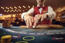 Dashboard riwayat permainan Crash di ayu togel menampilkan crash points dan kemenangan